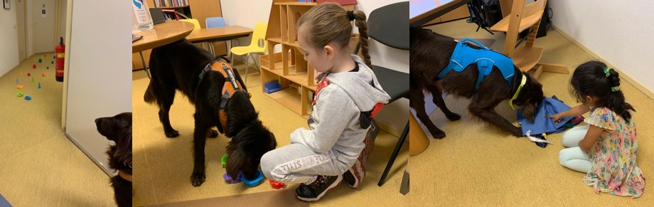 therapiehond2